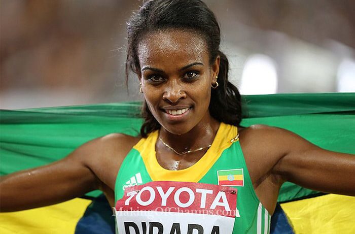 dibaba-1